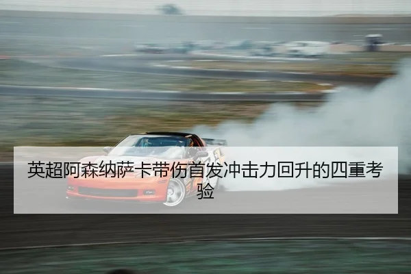 ying-chao-a-sen-na-sa-ka-dai-shang-shou-fa-chong-ji-li-hui-sheng-de-si-zhong-kao-yan-2-503.jpg